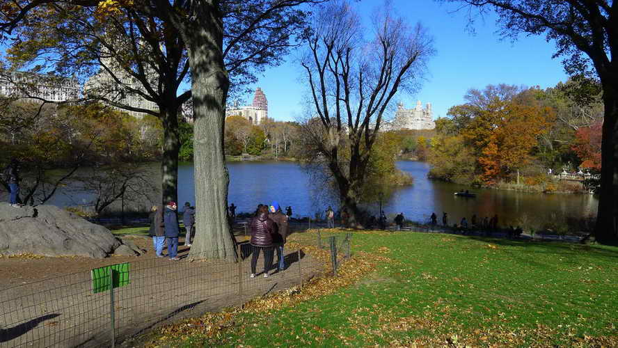 NYC_2017-11-23 11-28-33_P1140153